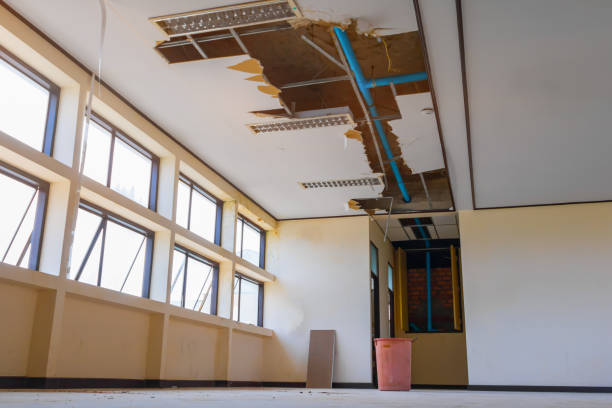 Best Water damage restoration process  in Iola, WI