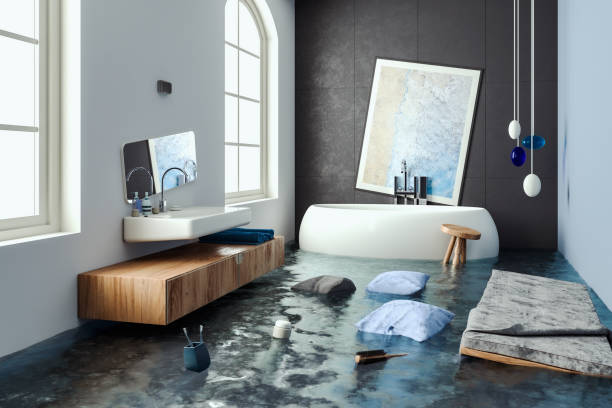 Best Water damage repair service  in Iola, WI
