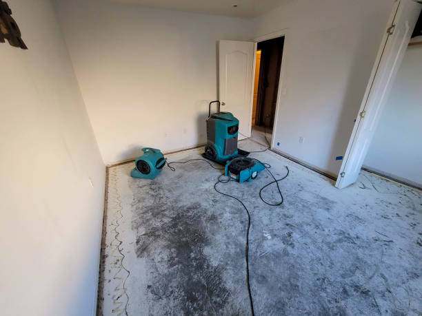 Best Emergency water damage restoration  in Iola, WI