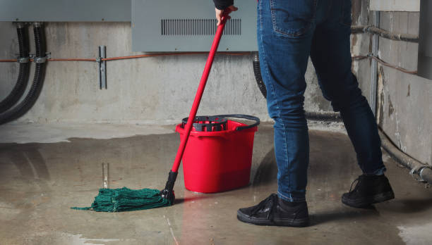 Best Residential water damage restoration  in Iola, WI