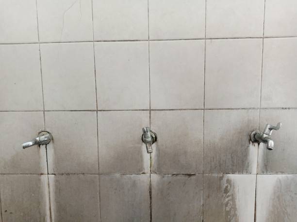  Iola, WI Water damage restoration Pros