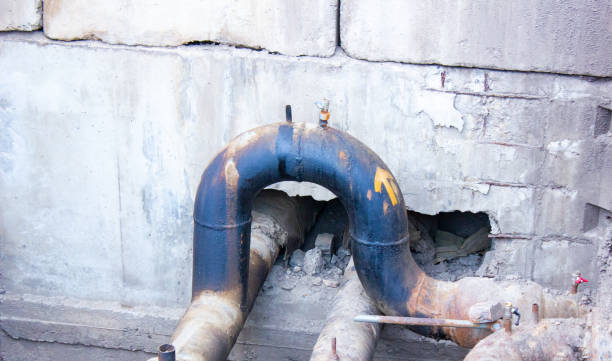 Best Basement water damage restoration  in Iola, WI