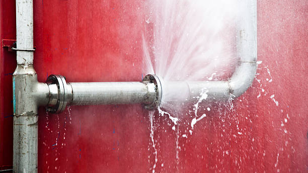 Best Local water damage restoration  in Iola, WI