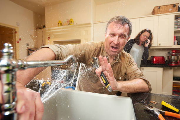 Best Water damage mitigation services  in Iola, WI